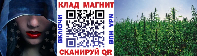 Где можно купить наркотики Гусиноозёрск Псилоцибиновые грибы  Мефедрон  ГАШИШ  Канабис  Метадон  Кокаин 