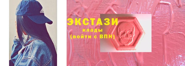 гашик Вяземский