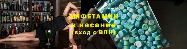 гашик Вяземский