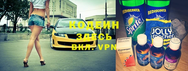 гашик Вяземский