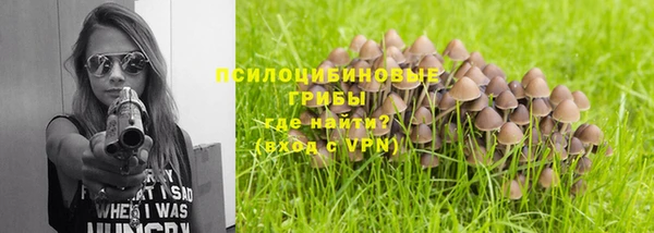 гашик Вяземский