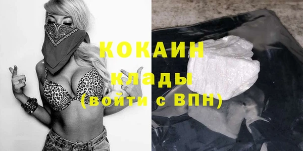 дживик Гусь-Хрустальный