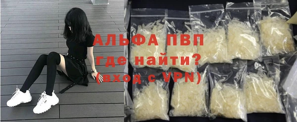 гашик Вяземский